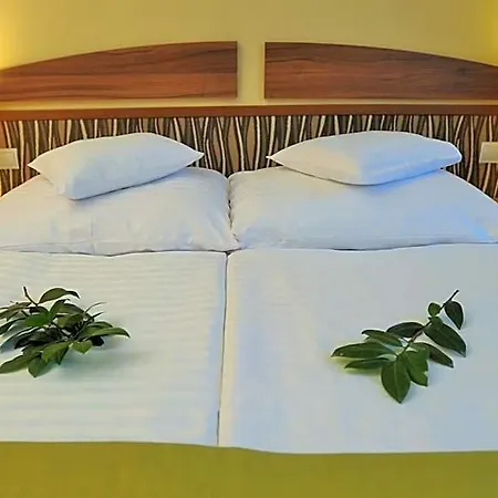 Park Hotel 3*