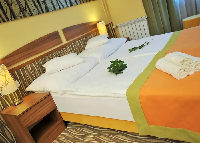 Park Hotell Gyula